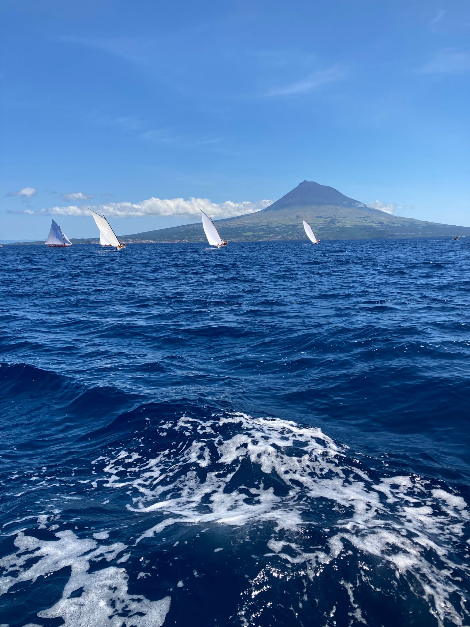 Regata de botes baleeiros com a Montanha do Pico ao fundo